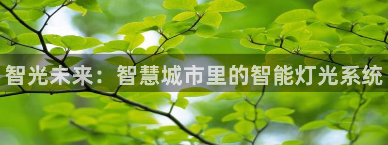 云頂國際取款取不出來：智光未來：智慧城市